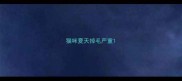 猫咪夏天掉毛严重