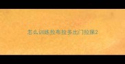 怎么训练拉布拉多出门拉屎
