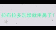 拉布拉多洗澡就用鼻子