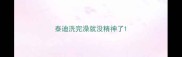 泰迪洗完澡就没精神了