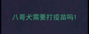 八哥犬需要打疫苗吗