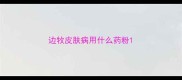边牧皮肤病用什么药粉