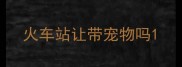 火车站让带宠物吗