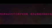 阿拉斯加幼犬2个月养护全攻略新手必看超详细成长指南