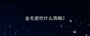 金毛爱吃什么狗粮