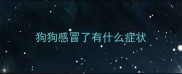 狗狗感冒了有什么症状
