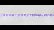 哈士奇幼犬能不能吃鸡蛋鸡蛋对幼犬的影响及喂养指南附食谱
