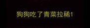 狗狗吃了青菜拉稀