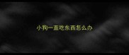 小狗一直吃东西怎么办