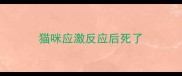 猫咪应激反应后死了