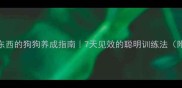 不乱咬东西的狗狗养成指南7天见效的聪明训练法附案例
