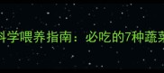3个月哈士奇幼犬科学喂养指南必吃的7种蔬菜营养及禁忌清单