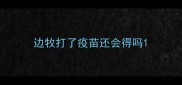 边牧打了疫苗还会得吗