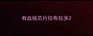 有血统芯片拉布拉多