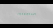 小狗不能过量运动