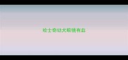 哈士奇幼犬眼镜有血