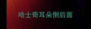 哈士奇耳朵倒后面