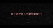 哈士奇吃什么品牌的狗粮好
