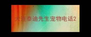 大连泰迪先生宠物电话