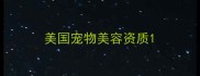 美国宠物美容资质