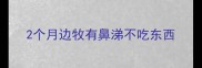 2个月边牧有鼻涕不吃东西