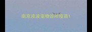 南京波波宠物诊所疫苗