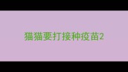 猫猫要打接种疫苗