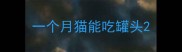一个月猫能吃罐头