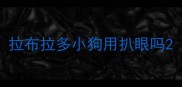 拉布拉多小狗用扒眼吗
