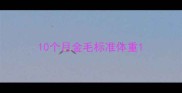 10个月金毛标准体重