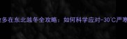拉布拉多在东北越冬全攻略如何科学应对-30严寒环境