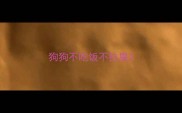 狗狗不吃饭不拉屎