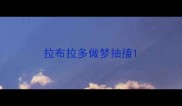 拉布拉多做梦抽搐