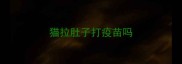 猫拉肚子打疫苗吗