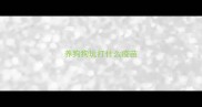养狗狗玩打什么疫苗