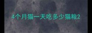 4个月猫一天吃多少猫粮