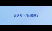 泰迪几个月能懂事