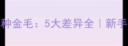 混血金毛vs纯种金毛5大差异全新手必看养宠指南