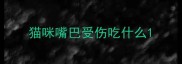 猫咪嘴巴受伤吃什么