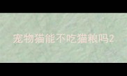 宠物猫能不吃猫粮吗