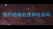 猫打喷嚏能接种疫苗吗