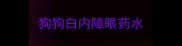 狗狗白内障眼药水