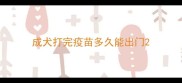 成犬打完疫苗多久能出门