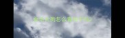 金毛大狗怎么看纯不纯