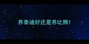 养泰迪好还是养比熊