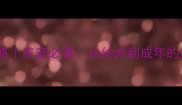 哈士奇成年时间全攻略养宠必看从幼犬到成年的关键指标和饲养指南