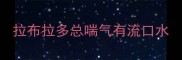 拉布拉多总喘气有流口水