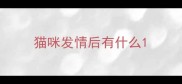 猫咪发情后有什么
