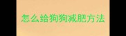 怎么给狗狗减肥方法