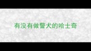 有没有做警犬的哈士奇